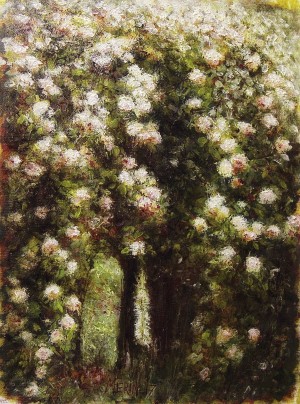 Garden 8